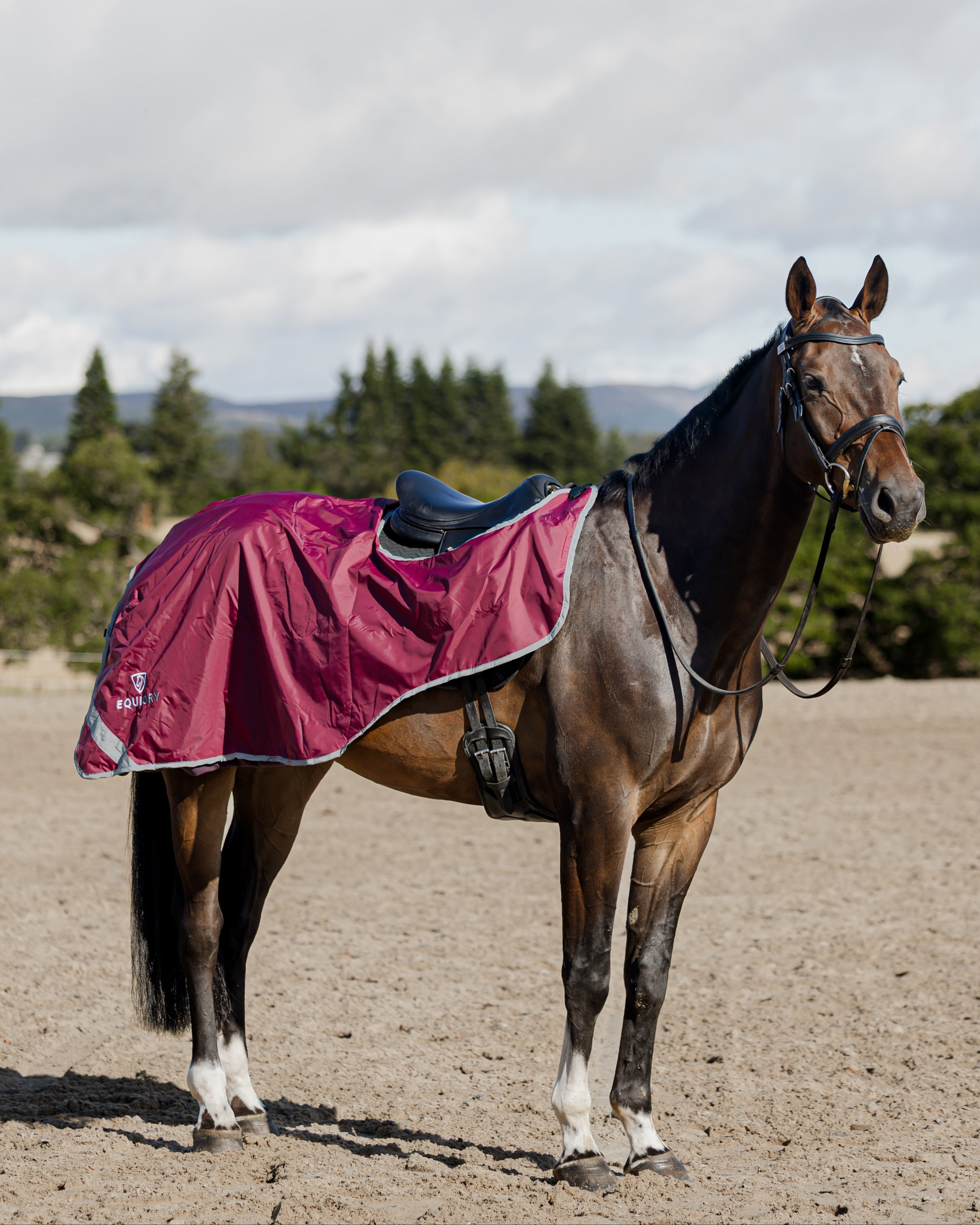 EQUIDRY Waterproof Exercise Sheet Thick Plum/Grey