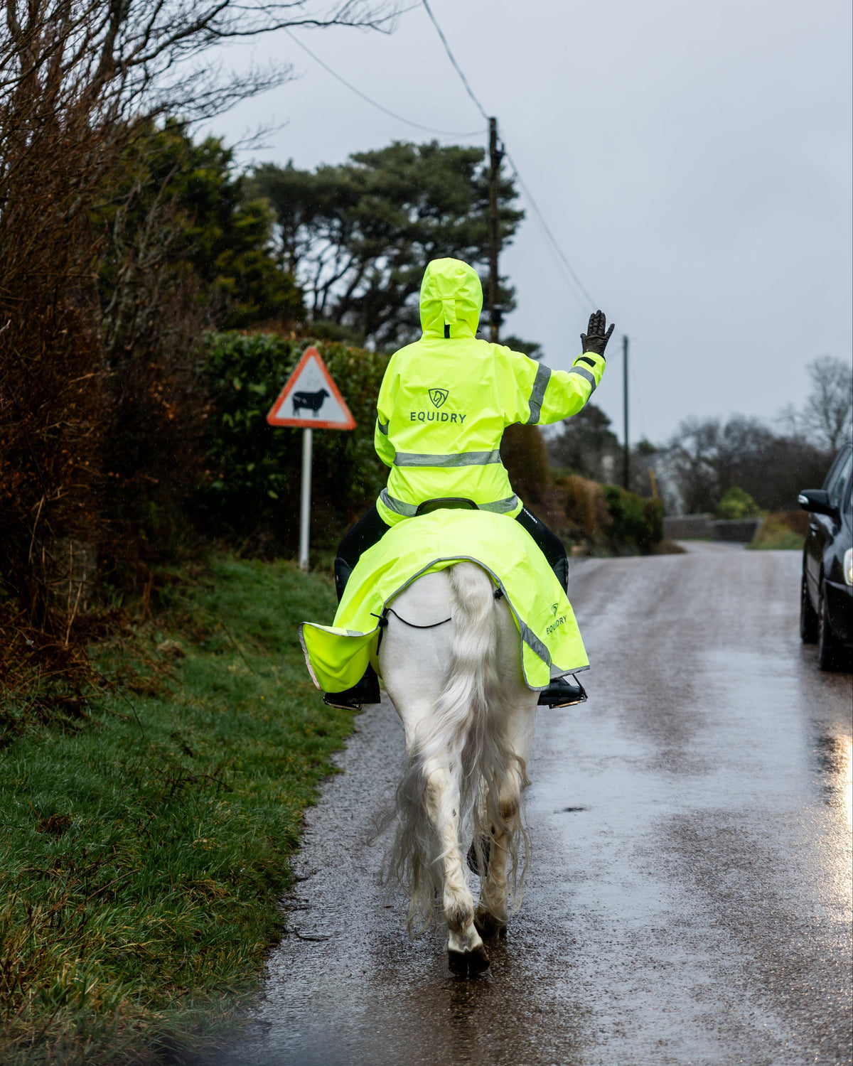 Equidry hi-vis waterproof riding coat on horseback in the rain.