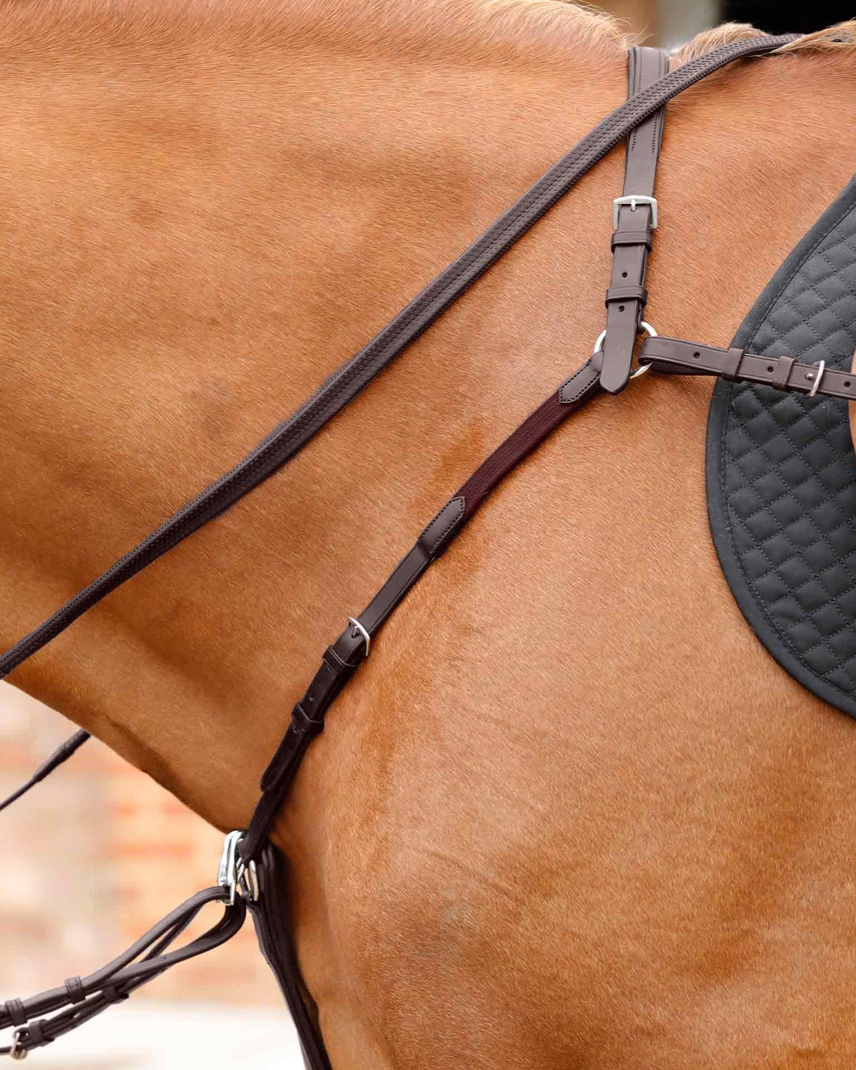 Premier Equine Valbrona Performance Breastplate Brown
