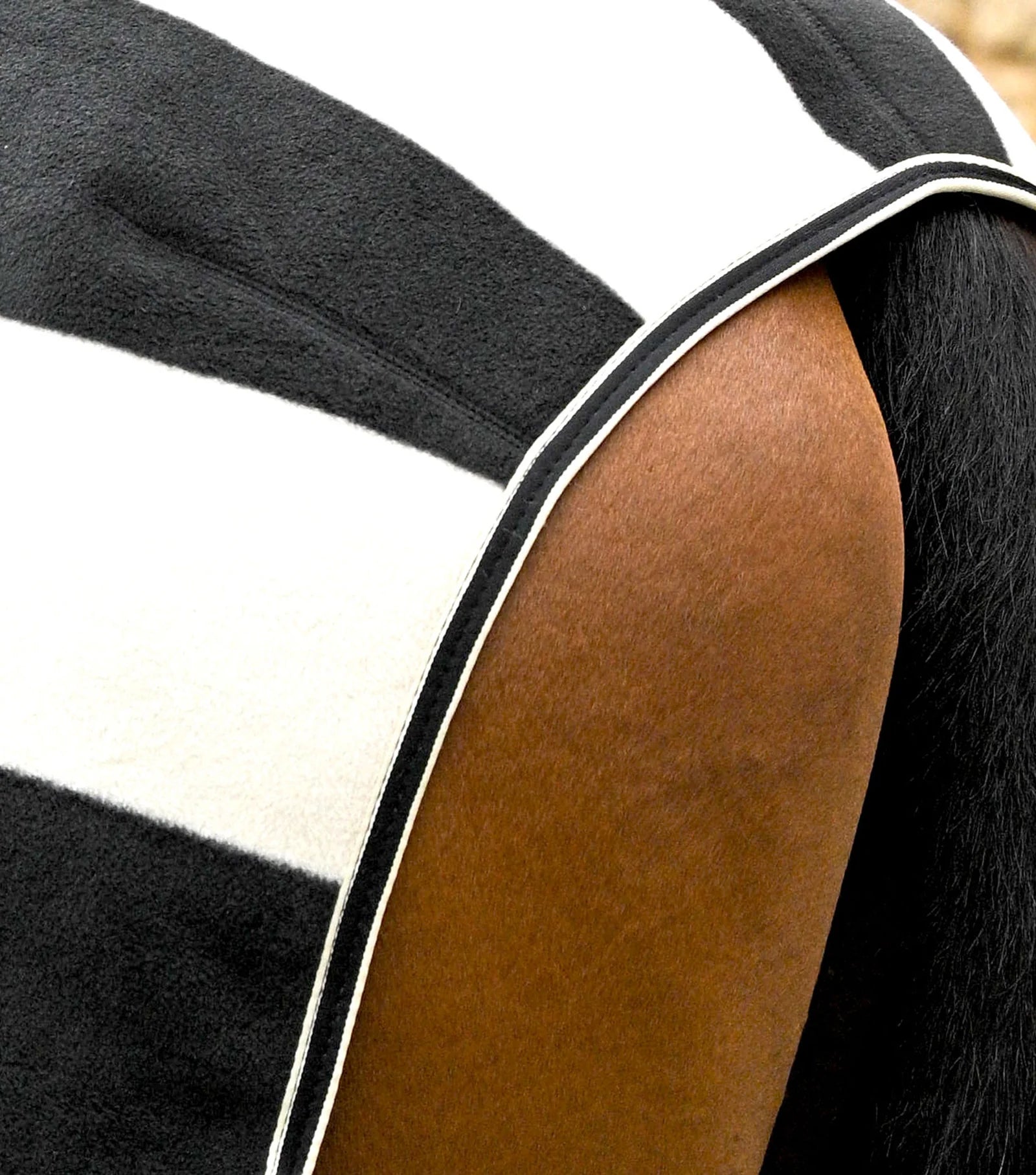 Horse wearing Premier Equine black & white striped fleece exercise rug. Equiflair equestrian equipment, warming horse blanket.