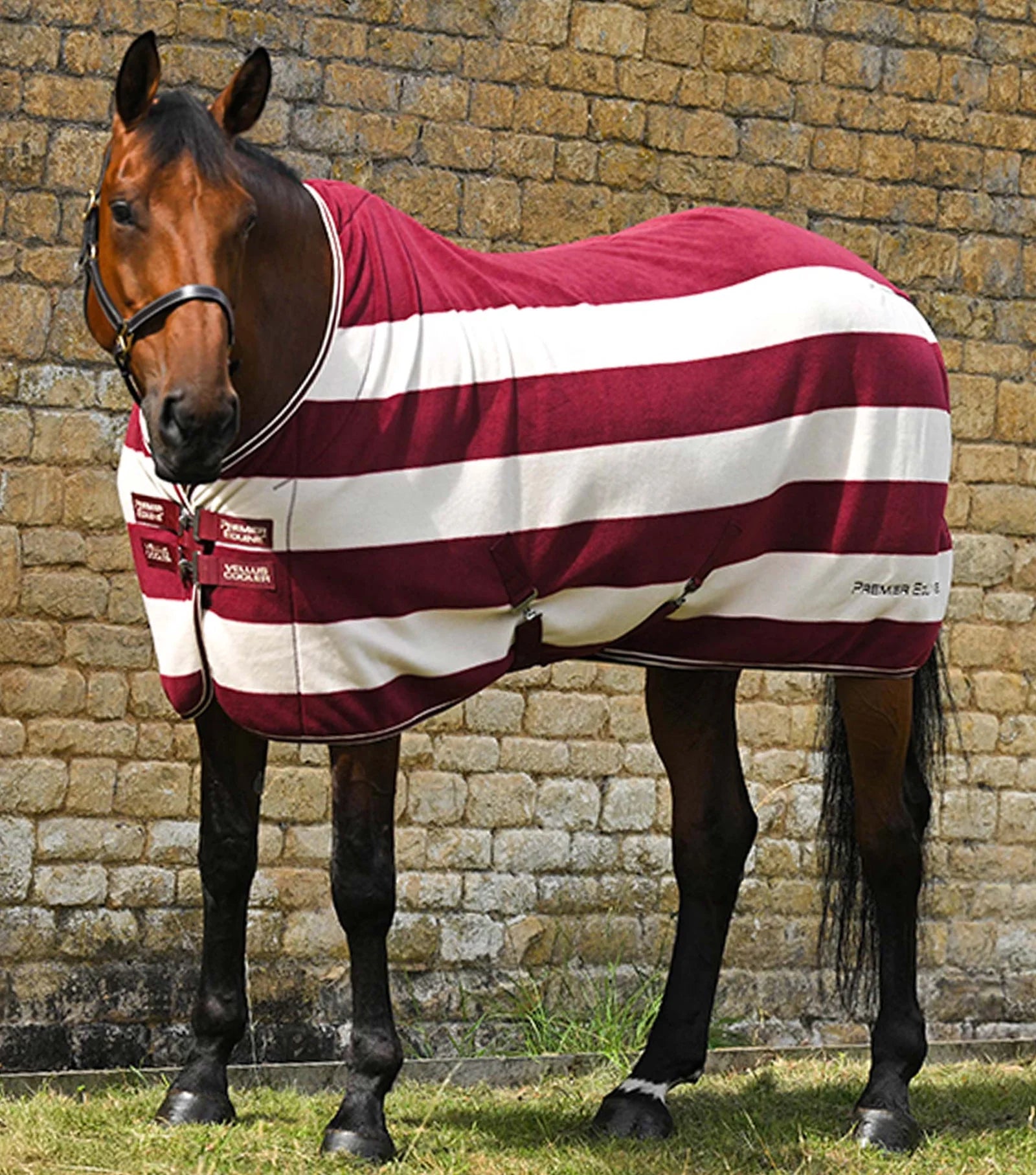 Horse wearing Premier Equine Vellus Fleece Rug Burgundy and White