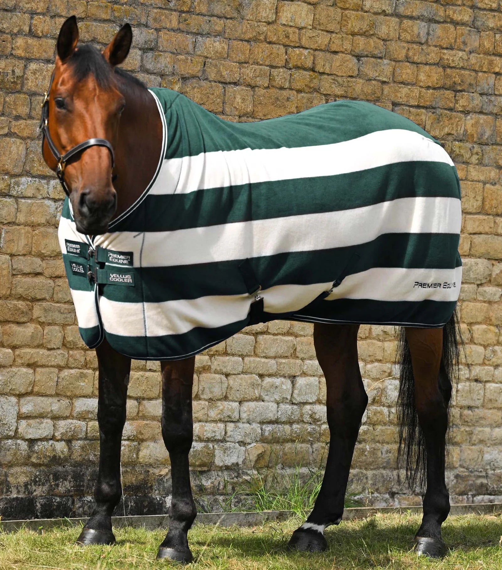 Premier Equine Vellus Cooler Horse Fleece Rug - Green and White Striped - Equiflair