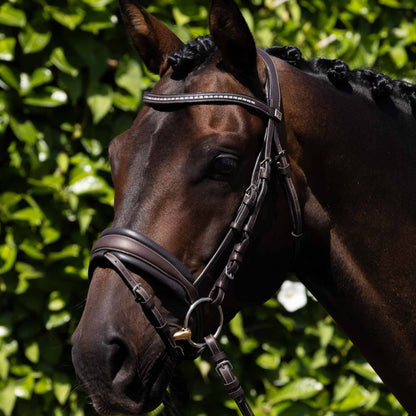 Premier Equine Veneto Anatomical Snaffle Bridle Brown Leather Horse Tack Equestrian Gear