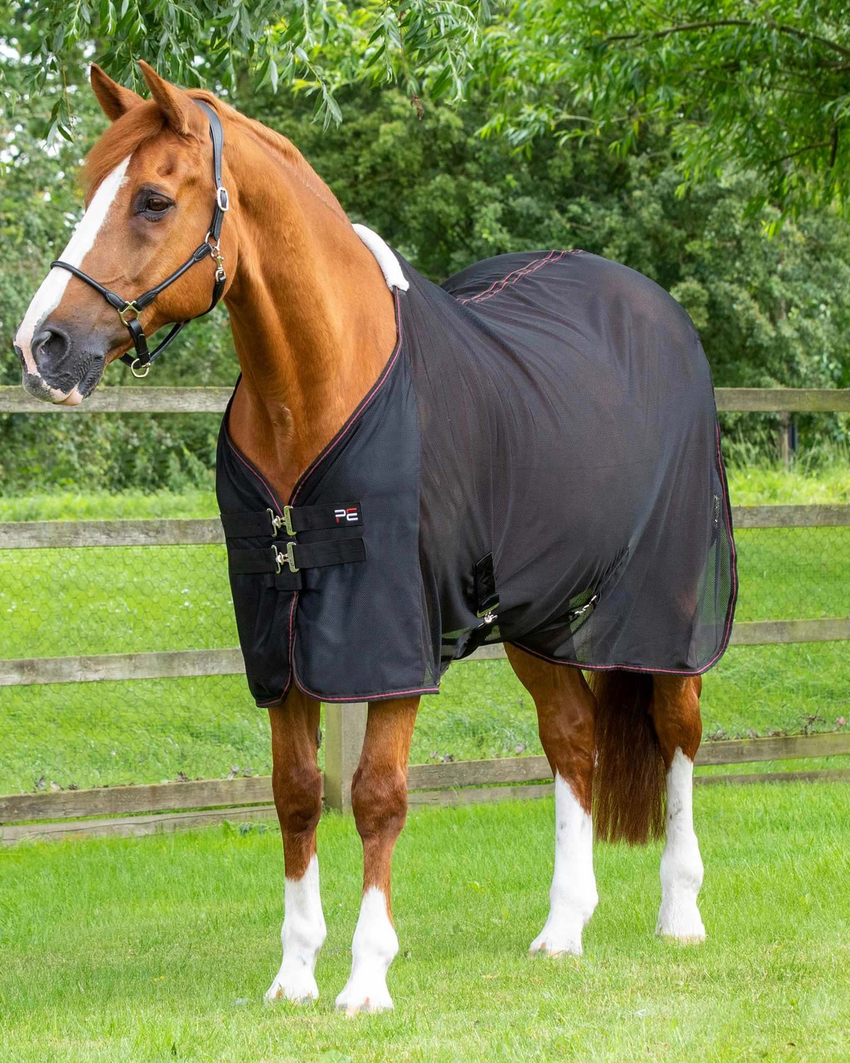 PREMIER EQUINE VENTOSO MESH COOLER BLACK - Lightweight Mesh Cooler