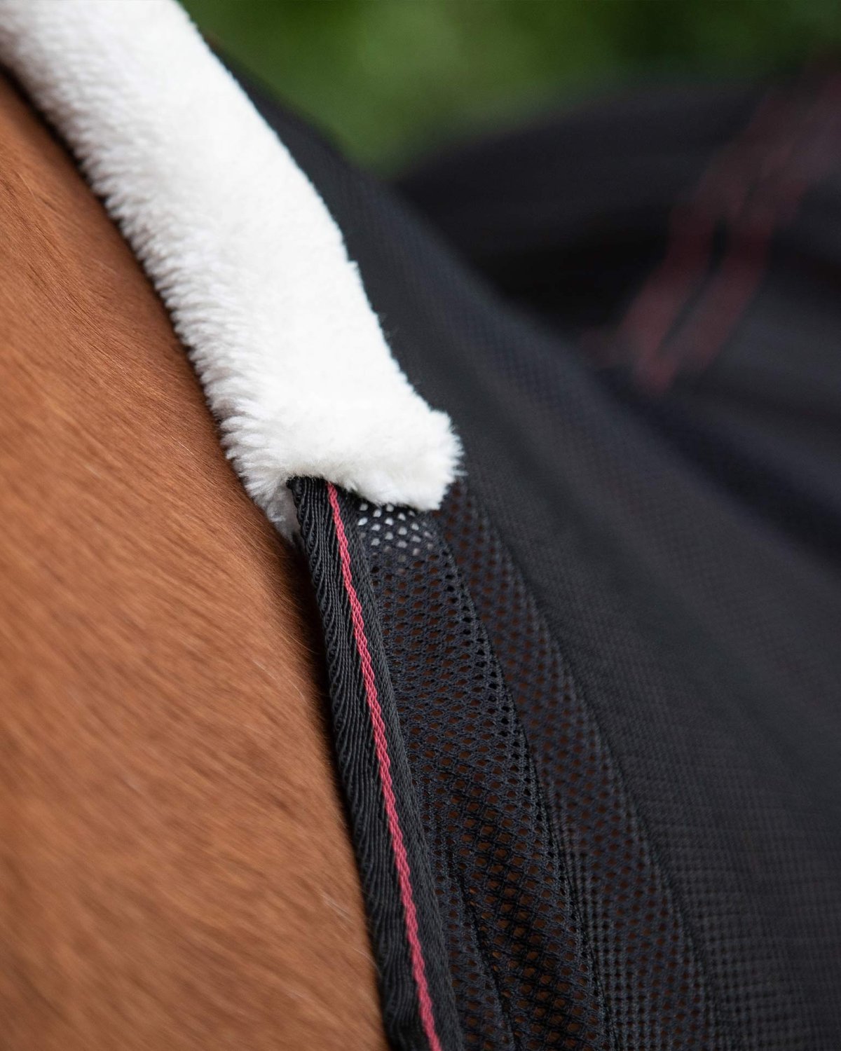 PREMIER EQUINE VENTOSO Mesh Cooler Black: Breathable Horse Cooling Blanket with Fleece Wither Pad