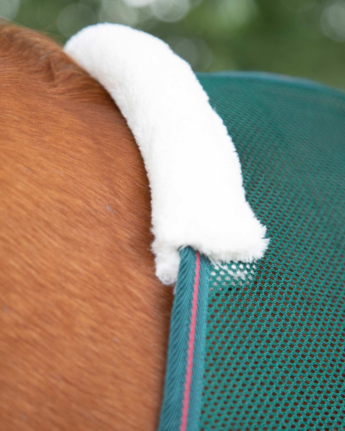 Premier Equine Ventoso Mesh Horse Cooler Green | Equiflair: Breathable cooling for horses, featuring a comfortable fleece wither pad.
