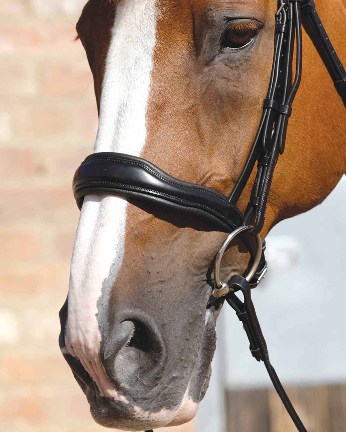 PREMIER EQUINE Verdura Anatomic Cavesson Noseband - Black Italian Leather Horse Tack - Equiflair