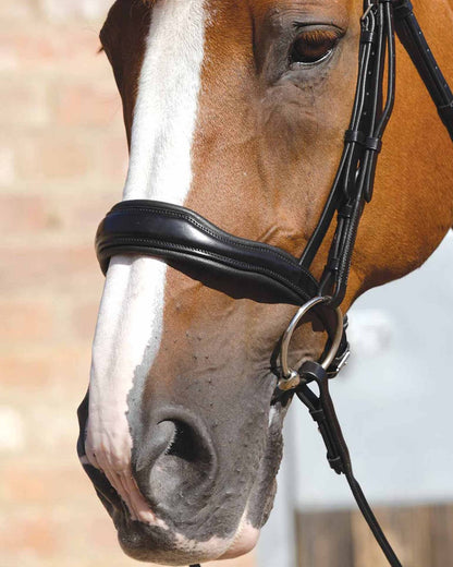 PREMIER EQUINE Verdura Anatomic Cavesson Noseband - Black Italian Leather Horse Tack - Equiflair