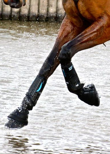 Veredus E-Vento XC Cross Country Boot Front Tendon Boots Black