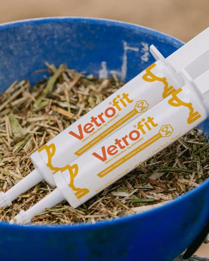 Vetrofit Horse Supplement: Energy Boost for Performance | Animalife
