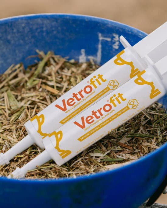Vetrofit Horse Supplement: Energy Boost for Performance | Animalife