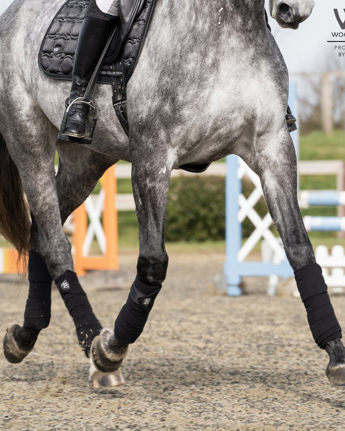 Black Woof Wear Vision Polo Bandages on Horse Legs: Equestrian Leg Protection, Equiflair