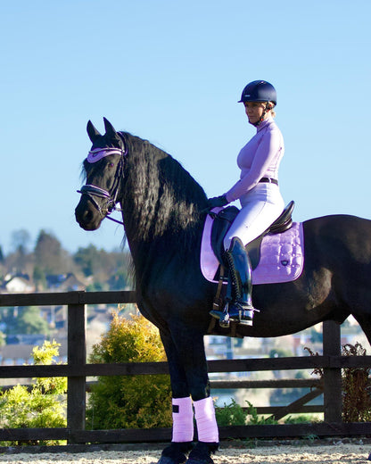 Equestrian Elegance: Friesian Horse with Purple Woof Wear Polo Bandages - Shop Now