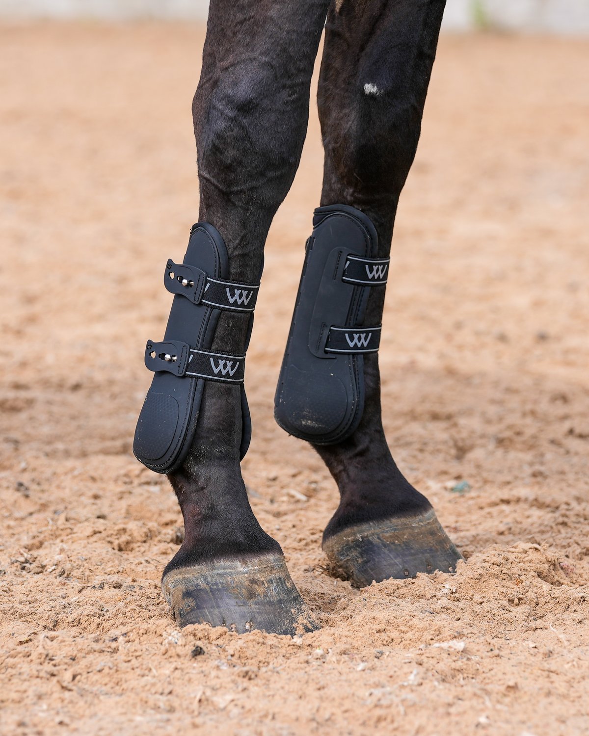 WOOF WEAR VISION Tendon Boots - Black Horse Leg Protection - Equestrian Boots | Equiflair