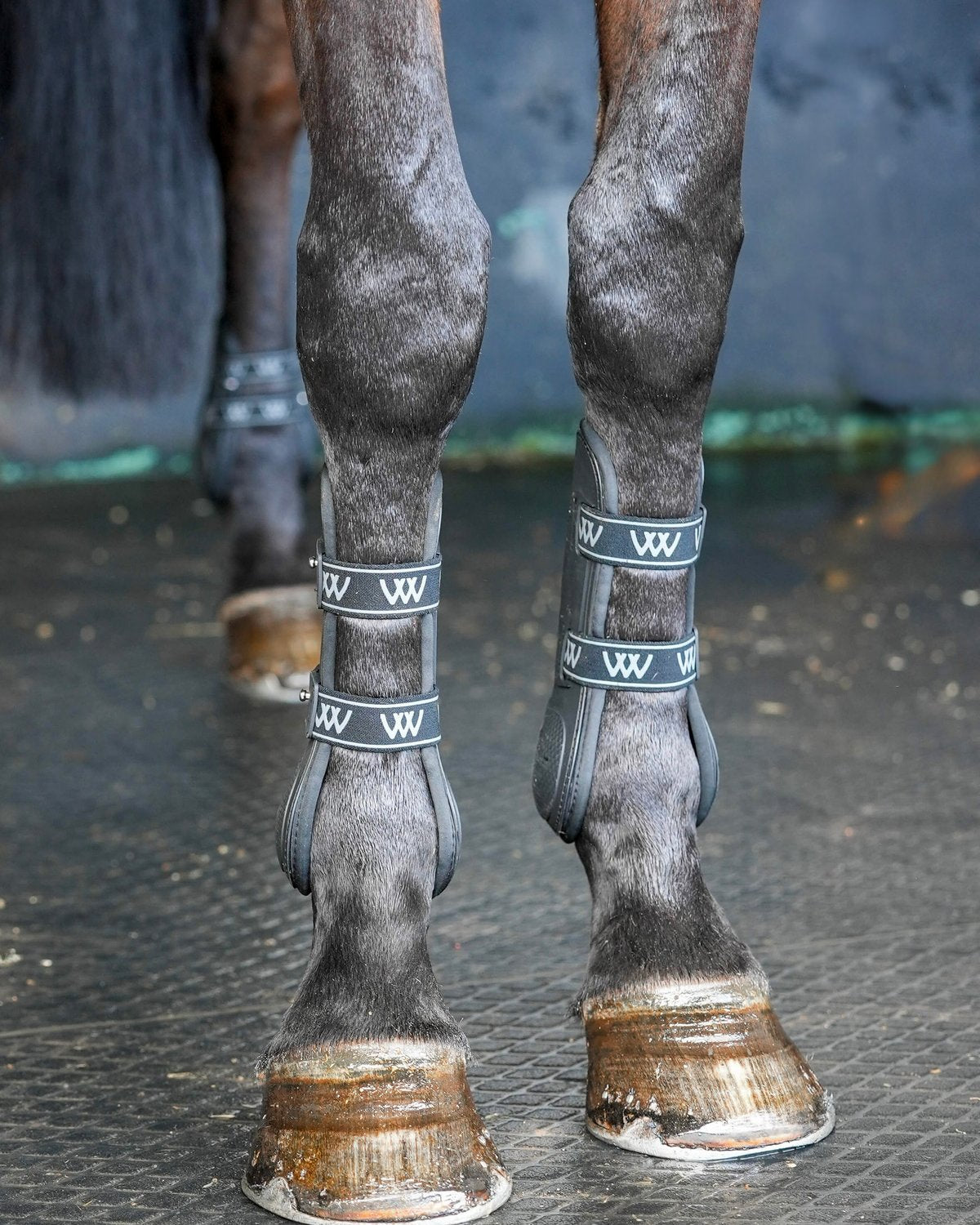Woof Wear Vision Tendon Boots: Black & Lime. Horse Leg Protection, Tendon Support, Riding Gear.