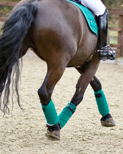 Horse with Woof Wear Vision Polo Bandages in British Racing Green. Equestrian leg protection.