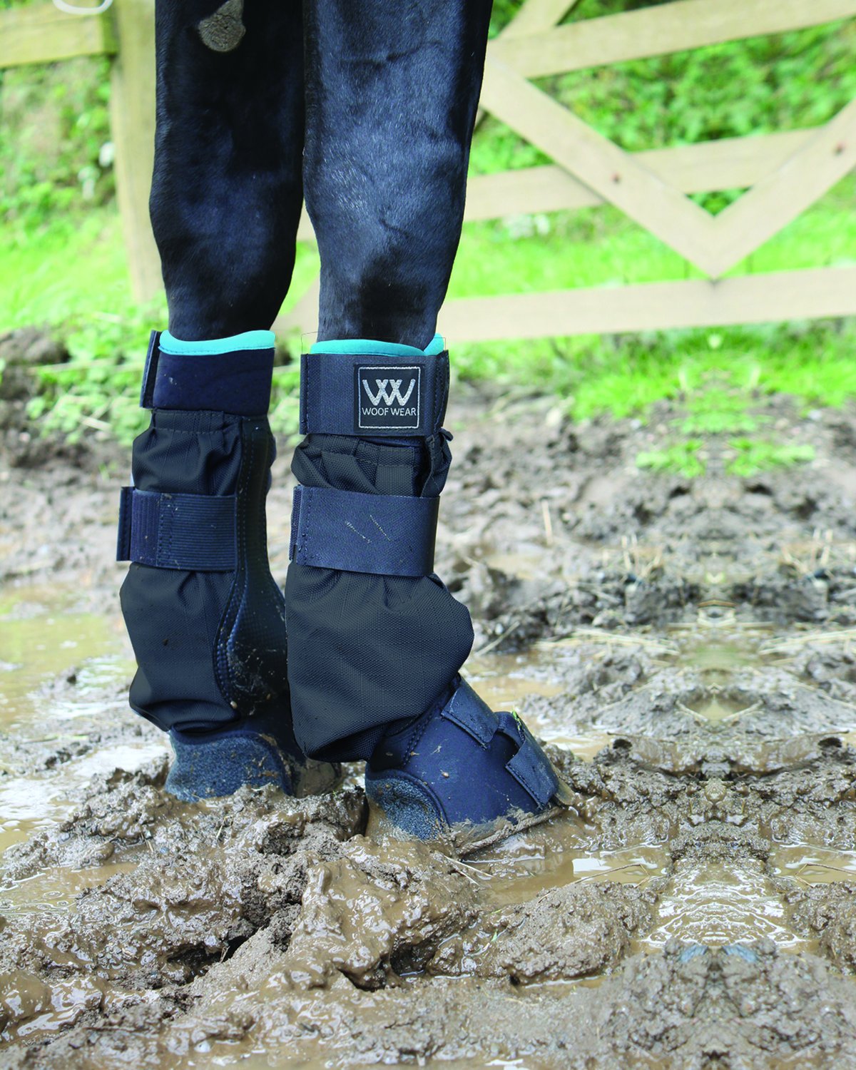 Woof Wear Mud Fever Boots - Black & Turquoise - Horse Leg Protection from Muddy Conditions