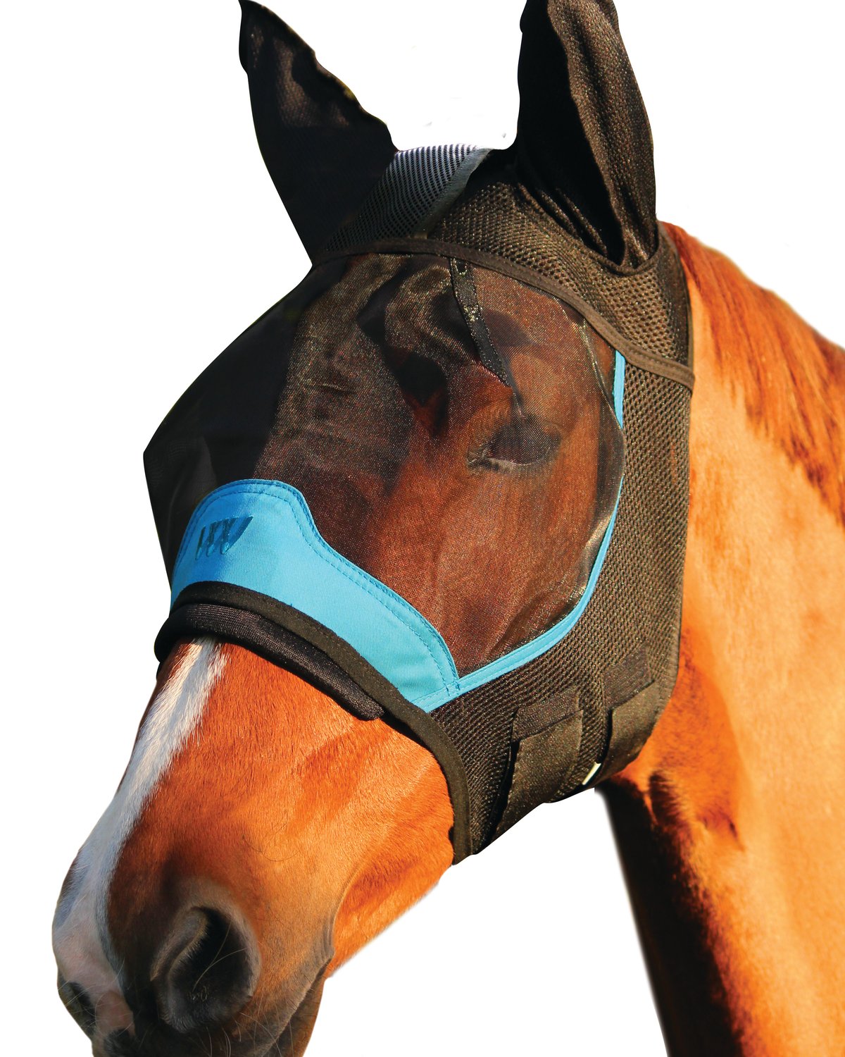 Woof Wear UV Fly Mask with Ears Black Turquoise