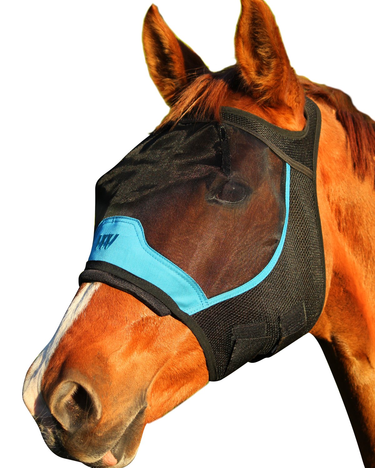 Woof Wear UV Fly Mask without Ears Black Turquoise