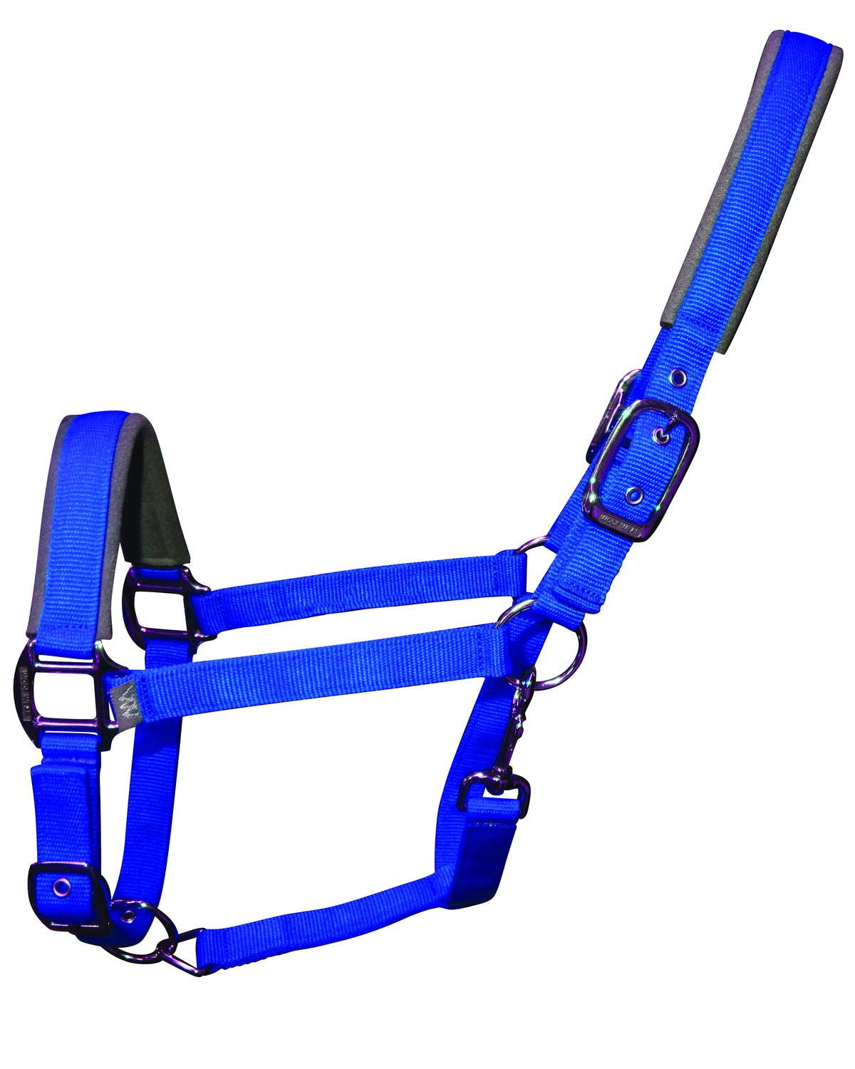 Woof Wear Contour Head Collar Electric Blue