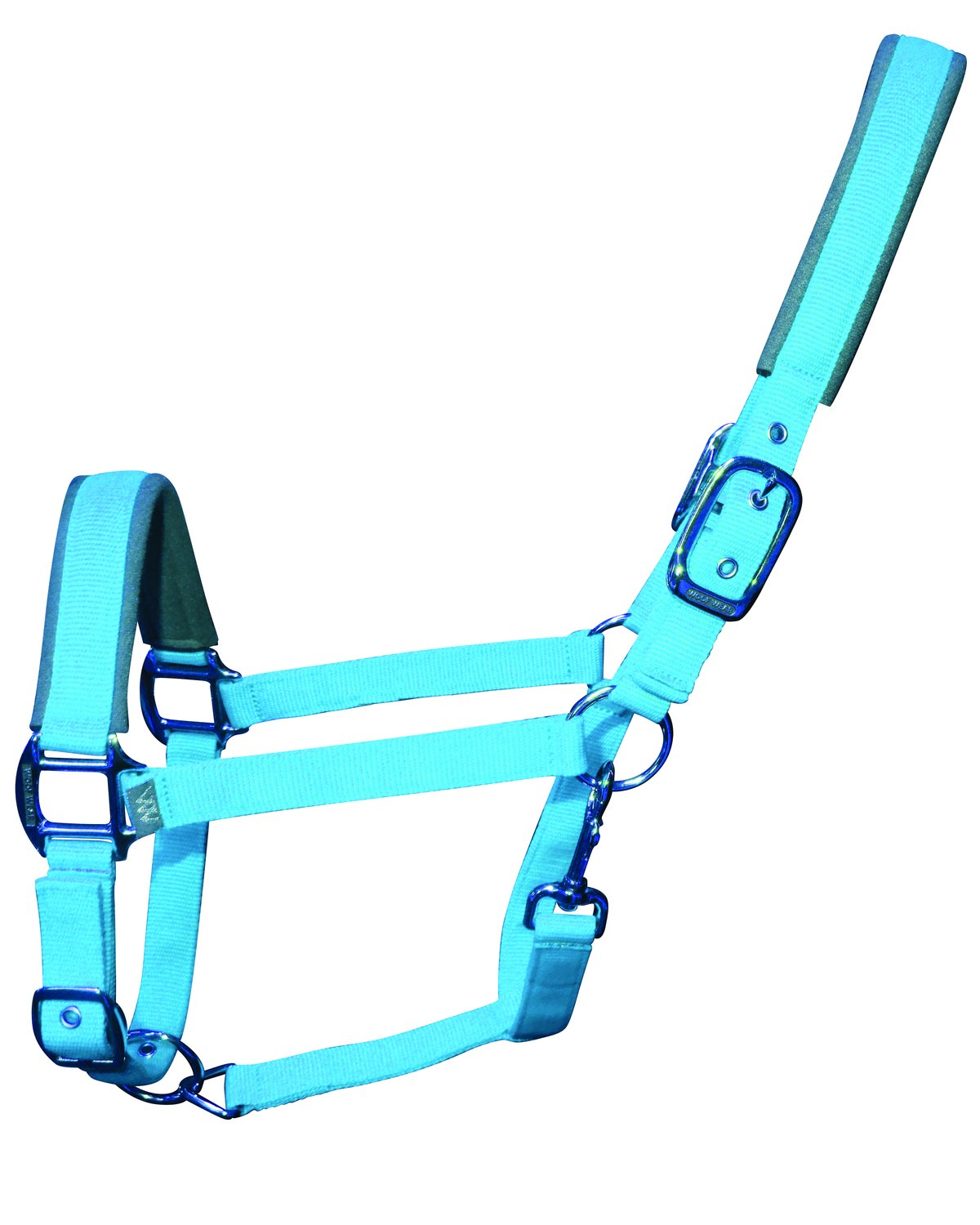 Woof Wear Contour Head Collar Turquoise