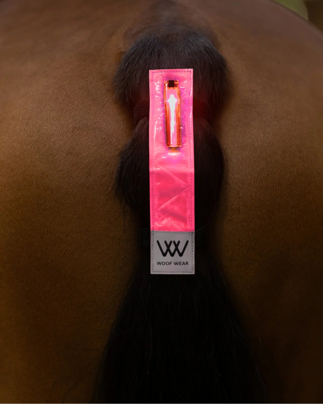 Woof Wear LED Hi -Vis Tail Light Pink