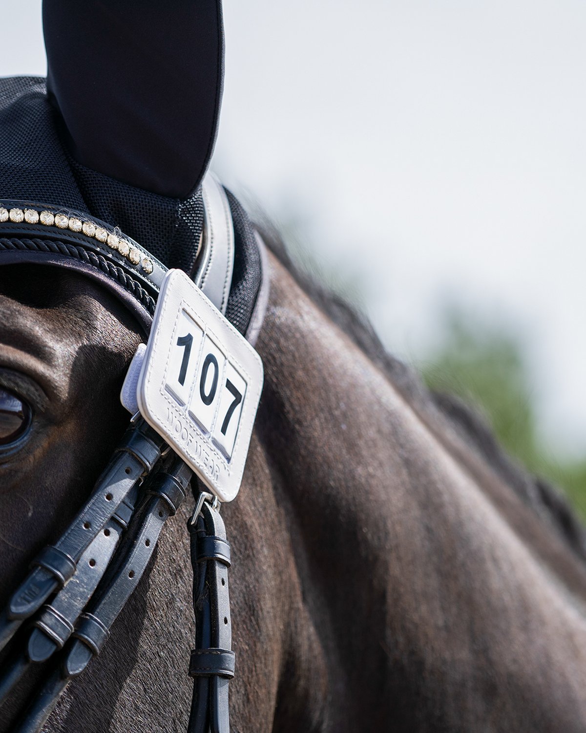 WOOF WEAR Bridle Number Holder - Horse Competition Number 107 - Equiflair