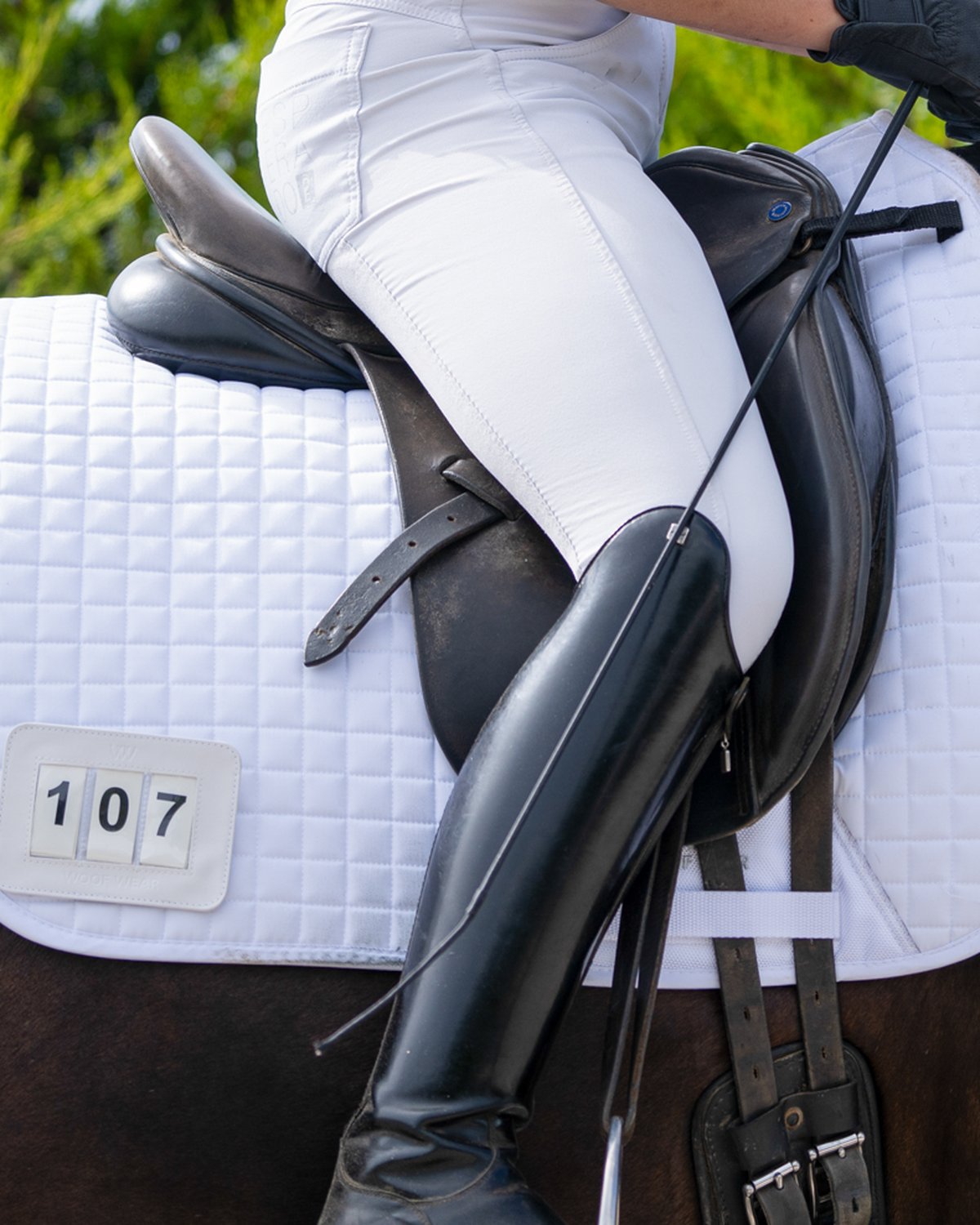 Woof Wear 3 Digit Dressage Number Holder White