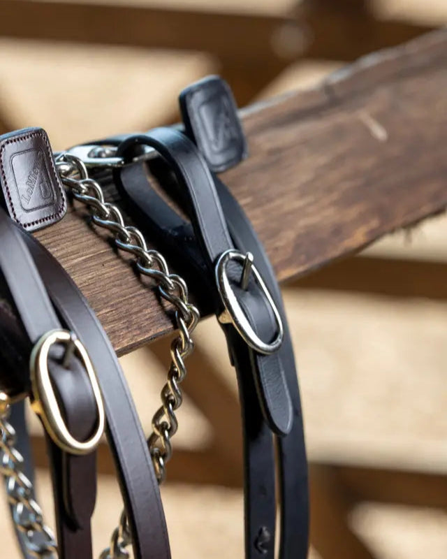 LeMieux Leather Trot Up Chain Black | Equiflair - Elegant horse show gear with detachable chain and branded stopper end for security.