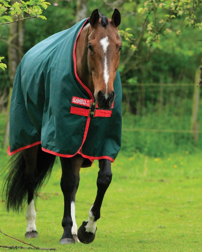 Horseware Rambo Turnout Rug - Green and Red Horse Blanket: Durable, Waterproof, and Breathable Protection