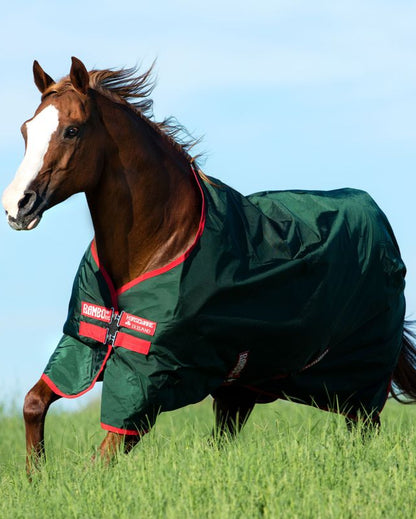 Horse wearing a green and red Rambo turnout rug. Waterproof, durable horse blanket by Horseware Ireland.