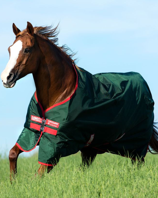 Horse wearing a green and red Rambo turnout rug. Waterproof, durable horse blanket by Horseware Ireland.