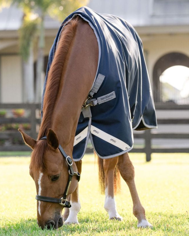Chestnut Horse Wearing Horseware Amigo Turnout Rug in Navy, Grazing in a Field