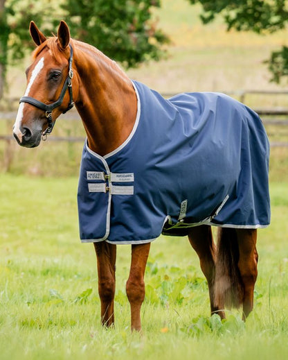 Chestnut Horse in NAVY Amigo Ripstop 900D Turnout Rug by Equiflair