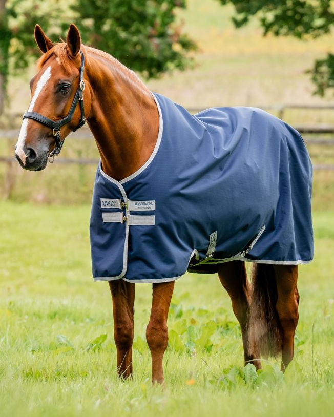 Chestnut Horse in NAVY Amigo Ripstop 900D Turnout Rug by Equiflair