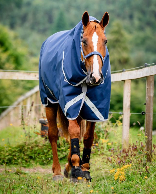 Amigo Bravo 12 Plus Turnout - 100g Light, Detachable Neck Cover. Breathable & Waterproof Horse Blanket for Comfortable Temperature.
