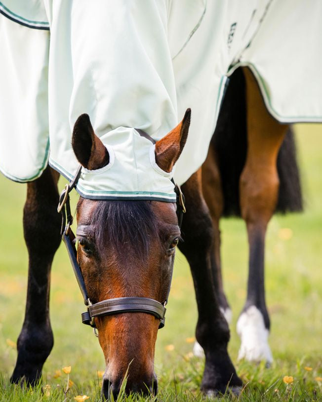 Horse Grazing in Rambo Hoody Fly Rug - Chalk Hunter Green. Summer Horse Rug for Fly Protection.