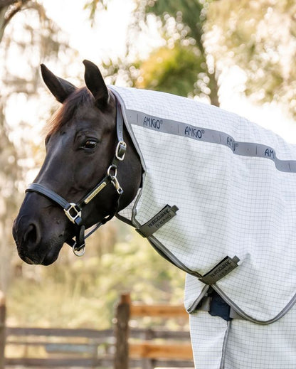 Horse in HORSEWARE AMIGO Summer Sheet Plus: Navy Check Pattern, UV & Fly Protection