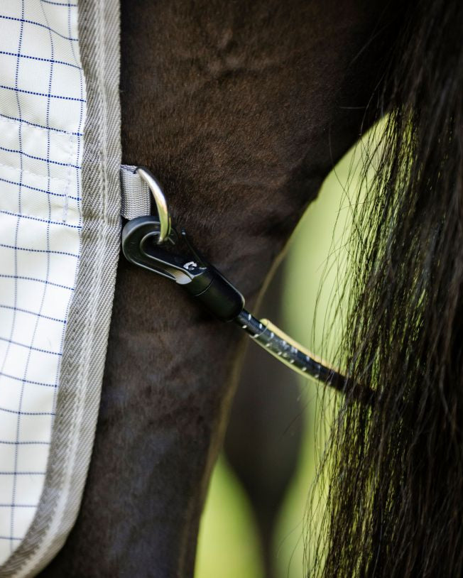 Horse wearing Horseware Amigo Summer Sheet Plus - Navy Check with UV and fly protection | Equiflair