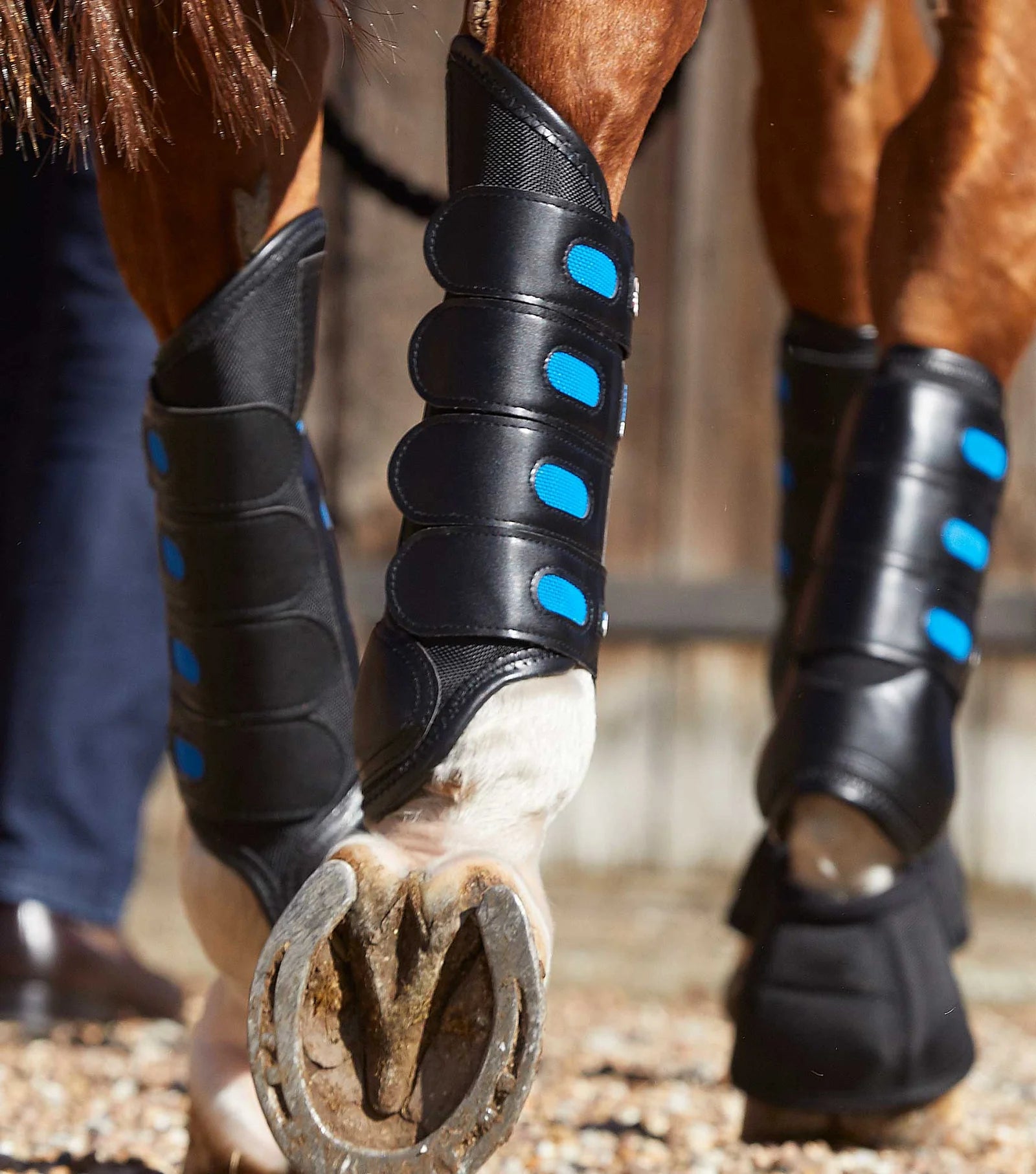 Premier Equine Air Cooled Original Eventing Boots Black Hind