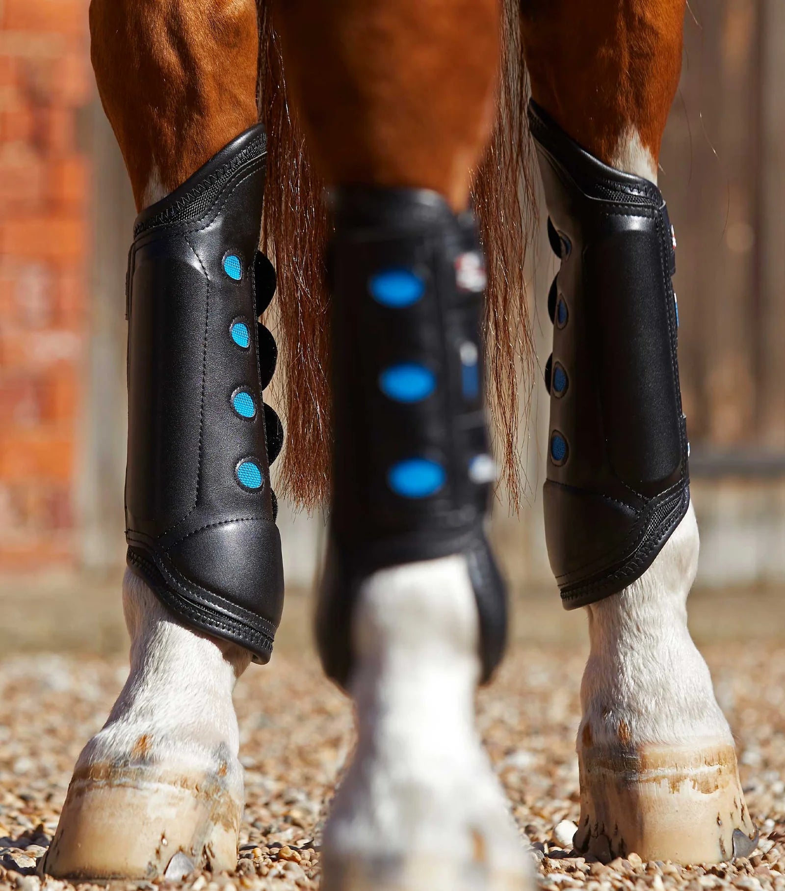 Premier Equine Air Cooled Original Eventing Boots Black Hind