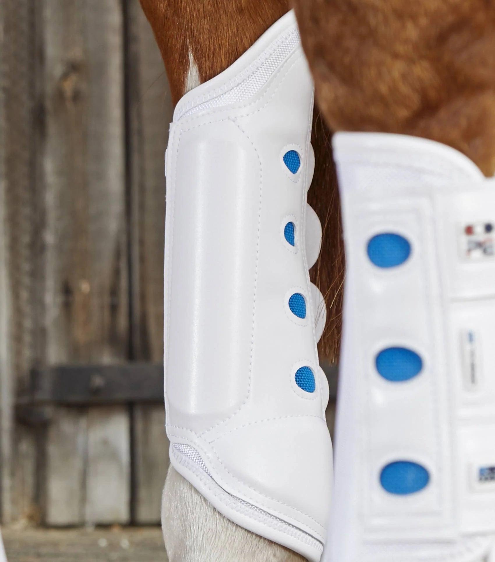Premier Equine Air Cooled Original Eventing Boots White Hind