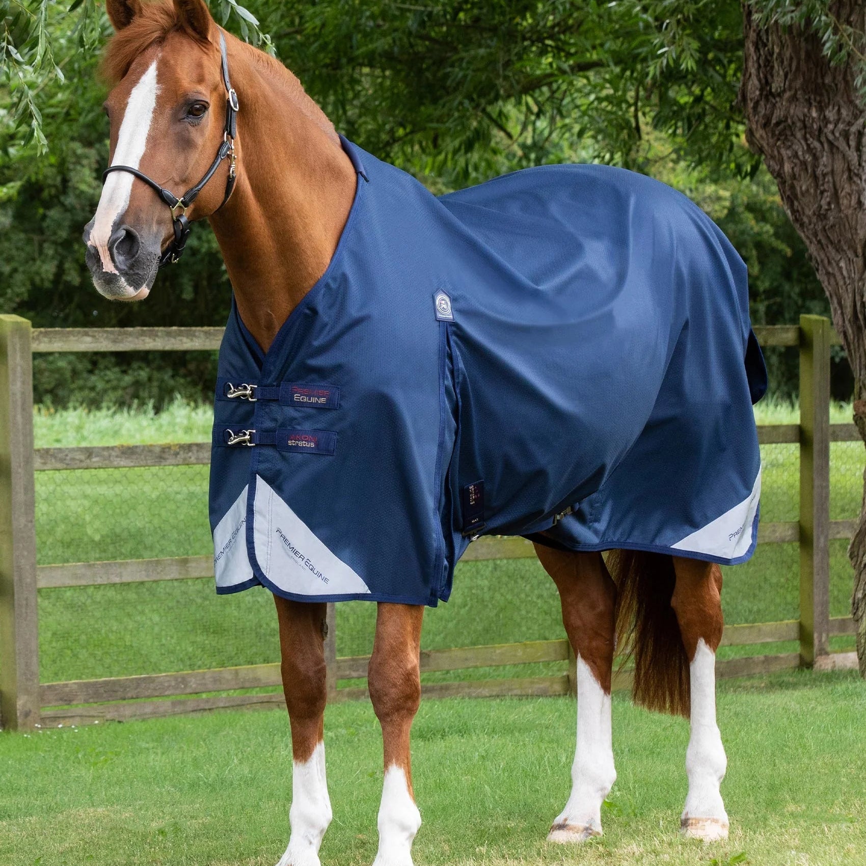 Premier Equine Akoni 0g Original Turnout Rug Navy