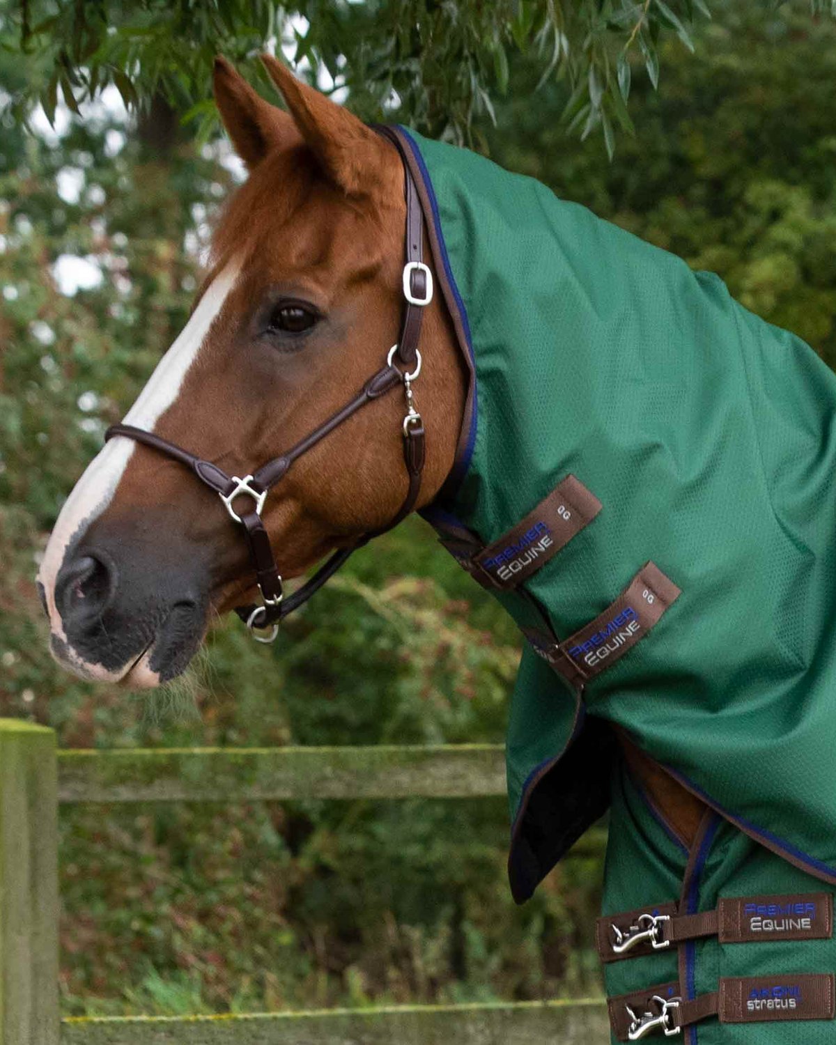 Premier Equine Akoni 0g Turnout Rug with Classic Neck Cover Green