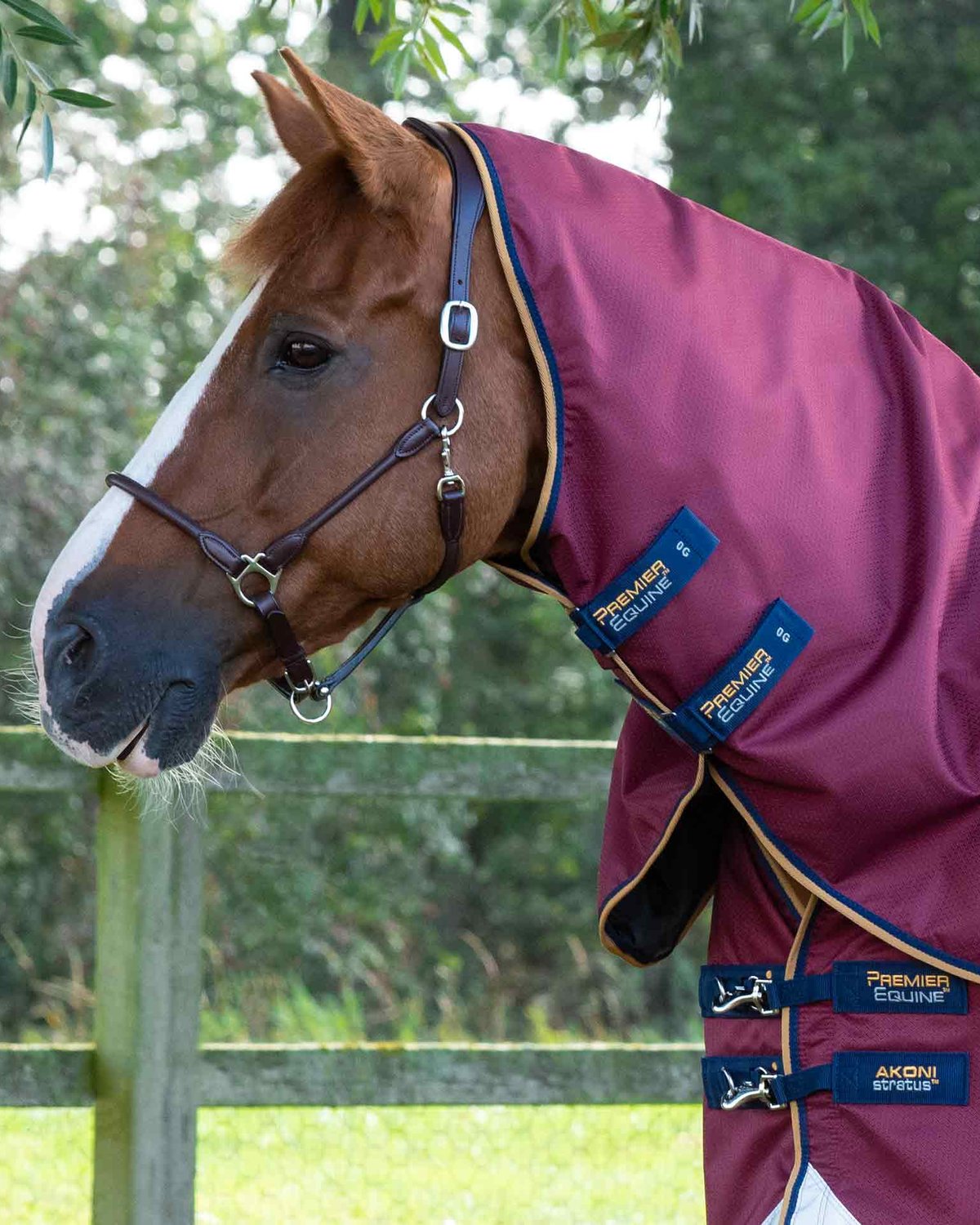 Premier Equine Akoni 0g Turnout Rug with Classic Neck Cover Wine