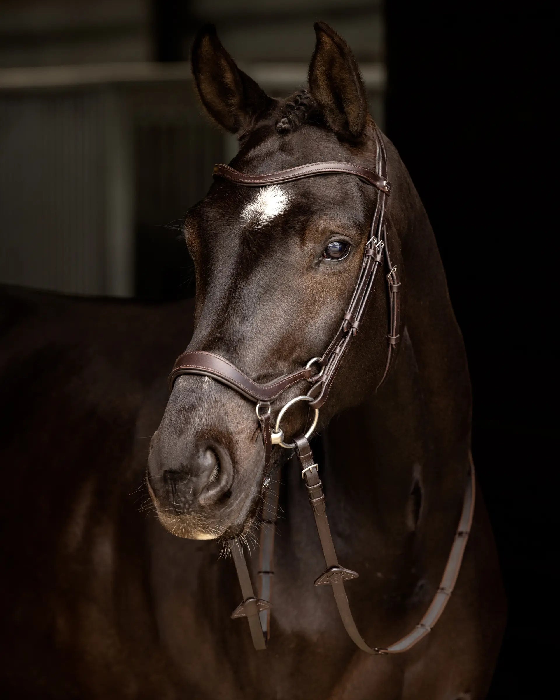 Brown Leather Drop Bridle on Horse | Equiflair Saddlery | Anatomical Design