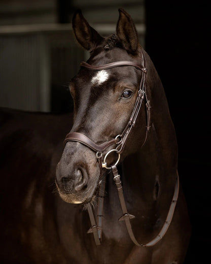 Brown Leather Drop Bridle on Horse | Equiflair Saddlery | Anatomical Design