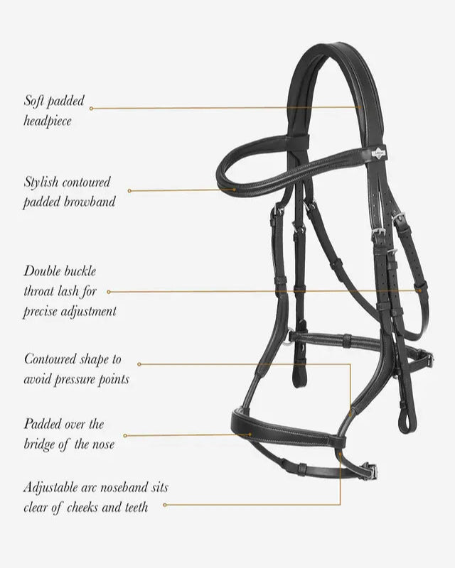 LeMieux Arika Adjustable Anatomic Noseband Bridle Black/Silver
