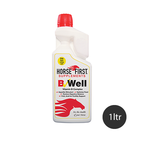 B Well Vitamin B Supplement 1L