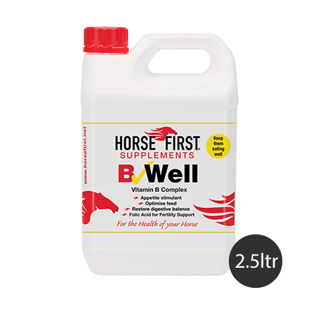 B Well Equine Vitamin B Supplement 2.5L